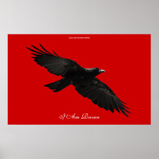 SOY RAVEN III Volando Poster de Arte Raven Negro