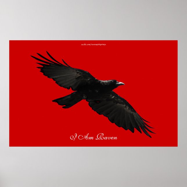SOY RAVEN III Volando Poster de Arte Raven Negro (Frente)