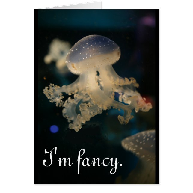 Soy suposición (Frente)