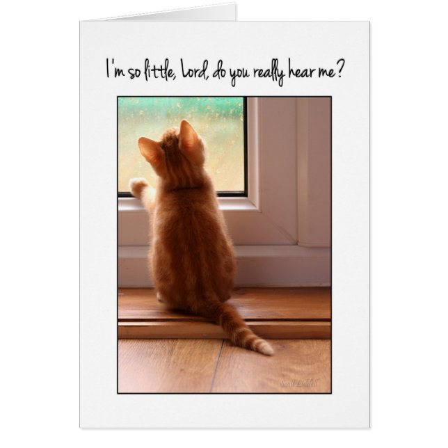 Soy tan pequeño Señor, ¿me oyes? (Frente)