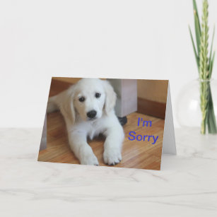 Soy tarjeta triste de la disculpa