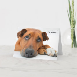 Soy tarjeta triste del perro