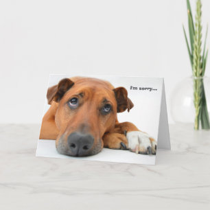 Soy tarjeta triste del perro