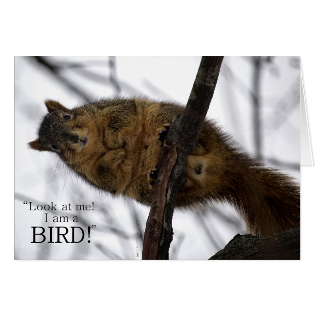 ¡Soy un AVE! (Anverso (Horizontal))