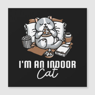 Soy un gato de interior - Gato introvertido