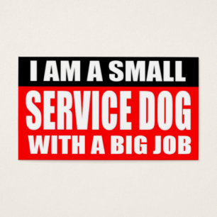 Soy un pequeño perro del servicio con un trabajo