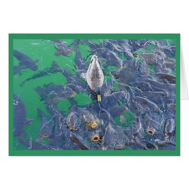 Soy un pescado… (Anverso (Horizontal))