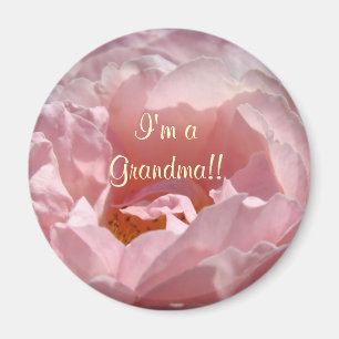¡Soy una abuela! imán Flor rosa Sunlit Pink