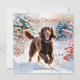 Spaniel de Agua Irlandés en Nieve Navidad Feliz Na