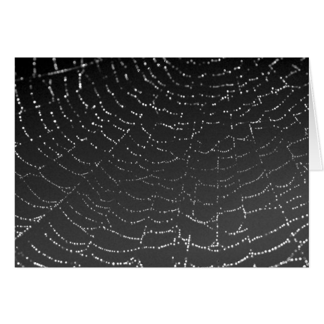 Sparkling Spiderweb (Anverso (Horizontal))