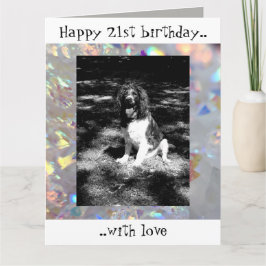 Sparkly springer spaniel tarjeta de cumpleaños 21