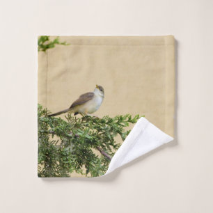 Sparrow