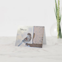 Sparrow y Feeder - Pensando en ti - Tarjeta en bla