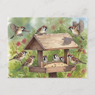 Sparrows con tarjeta postal para alimentador de pá