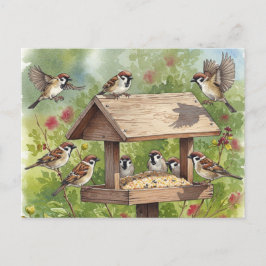 Sparrows con tarjeta postal para alimentador de pá