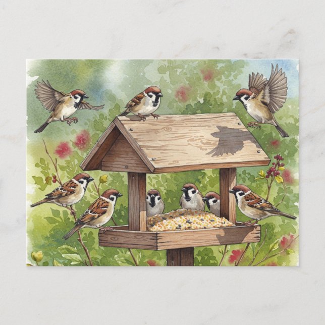 Sparrows con tarjeta postal para alimentador de pá (Anverso)
