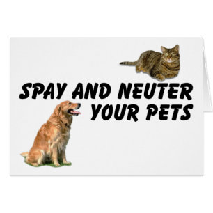 Spay y Neuter