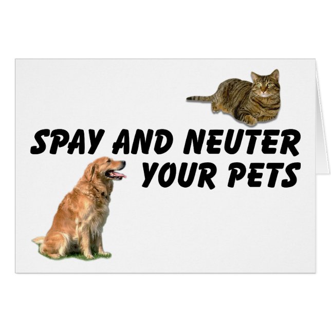 Spay y Neuter (Anverso (Horizontal))