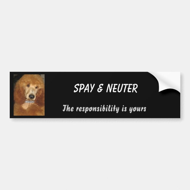 Spay y neutralice a la pegatina para el (Frente)
