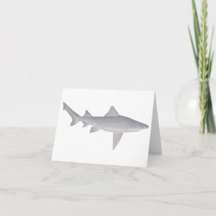 Speartooth Shark