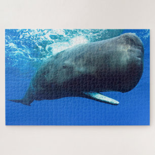 Sperm Whale Jigsaw rompecabezas
