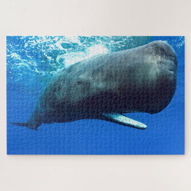Sperm Whale Jigsaw rompecabezas (Horizontal)