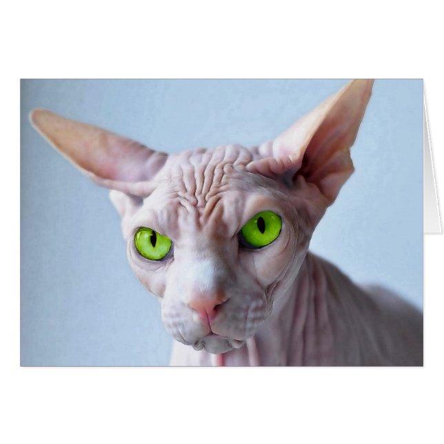 SPHYNX (Anverso (Horizontal))