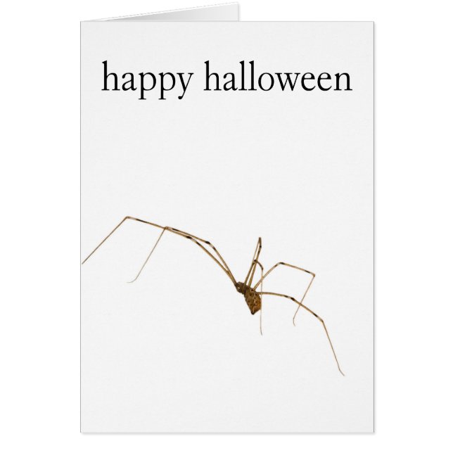 Spider (Frente)
