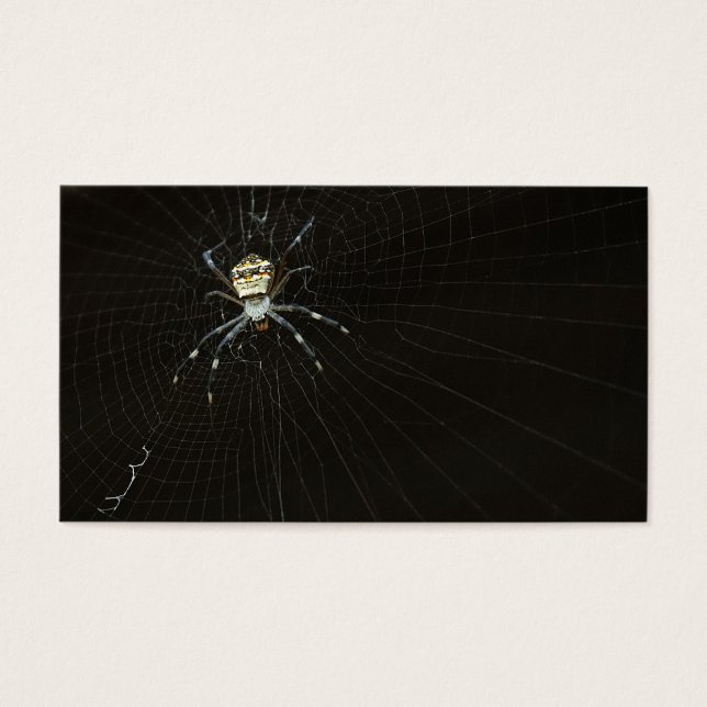 Spider (Frente)