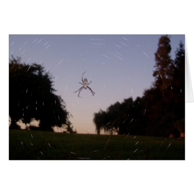 Spider (Anverso (Horizontal))