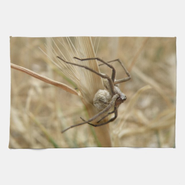 Spider and Egg Sac Kitchel Toalla (Horizontal)