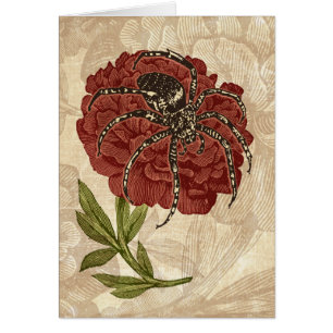 Spider En La Flor