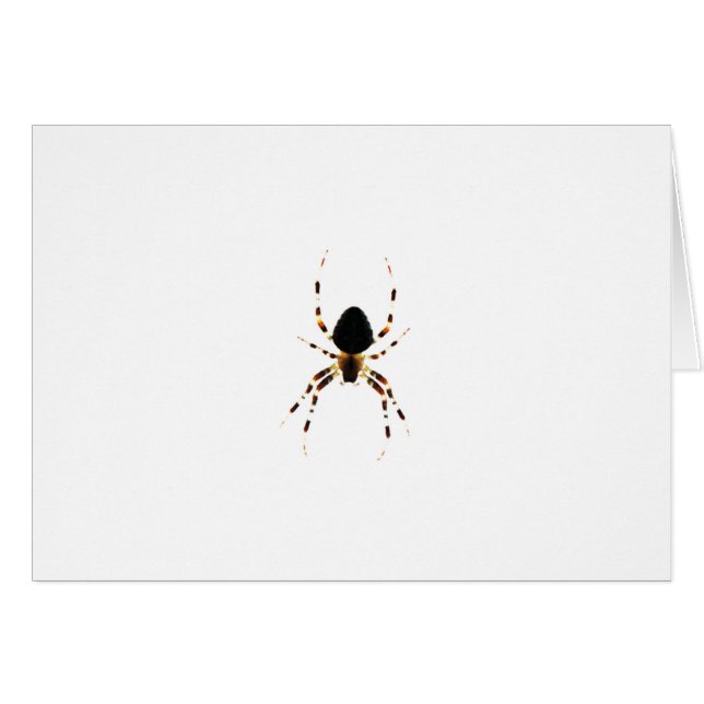 Spider gcnm (Anverso (Horizontal))