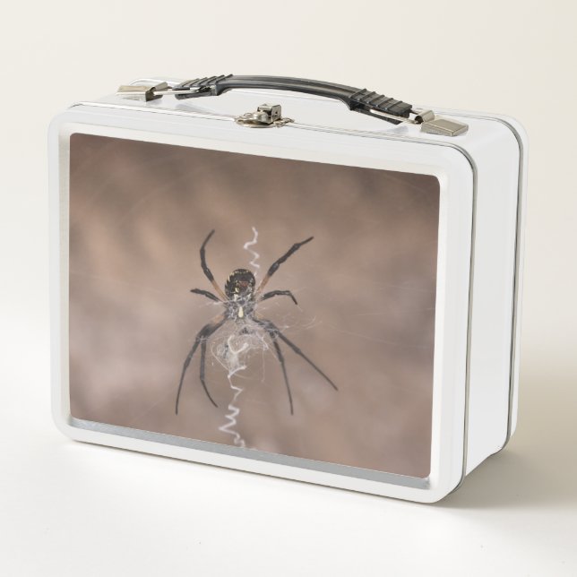 Spider Lunch Box (Anverso)