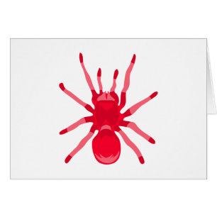 Spider (rojo)