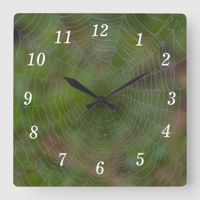 Spiderweb con el reloj de pared de las gotas (Anverso)