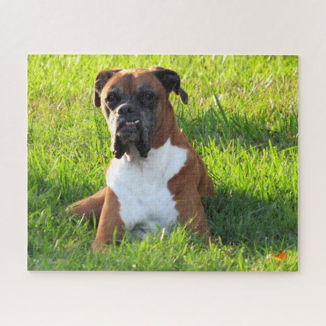 Spike the Boxer - El rompecabezas (Horizontal)