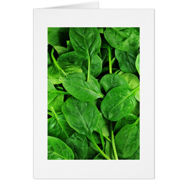 Spinach (Frente)