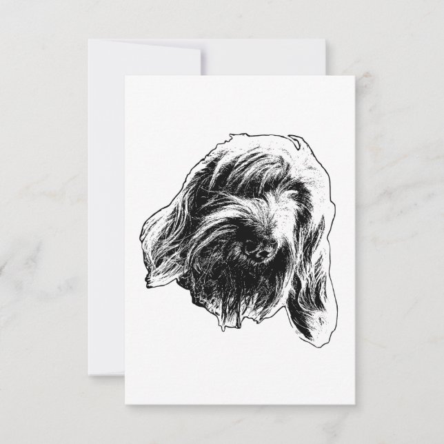 Spinone Agradecimiento Suave (Anverso)