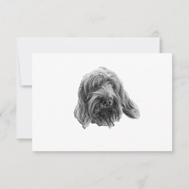Spinone Agradecimiento Tranquilo (Anverso)