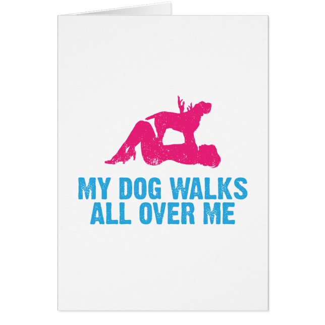 Spinone Italiano (Frente)