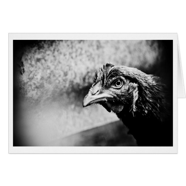 spirits and chickens (Anverso (Horizontal))