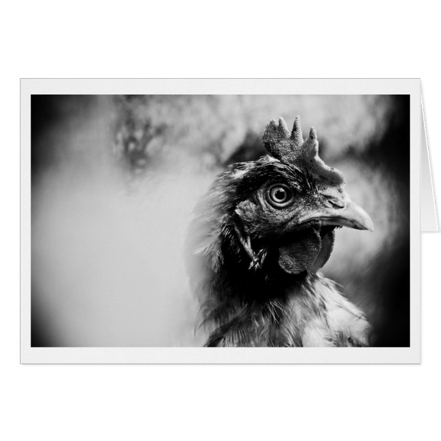 spirits and chickens 2 (Anverso (Horizontal))