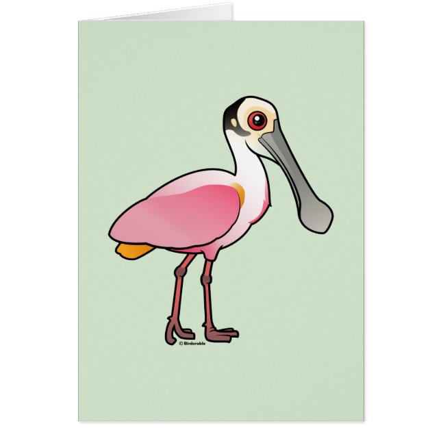 Spoonbill rosado lindo (Frente)