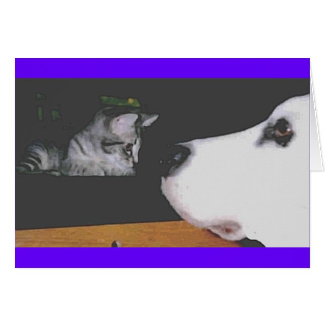 Spree&Kichou (Anverso (Horizontal))