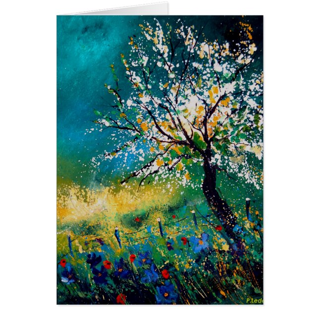 spring450408 (Frente)