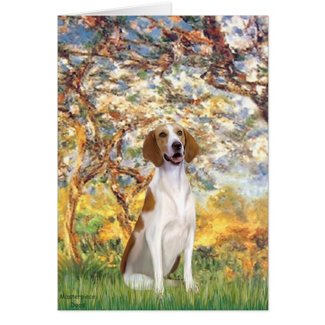 Spring-American Foxhound (Frente)