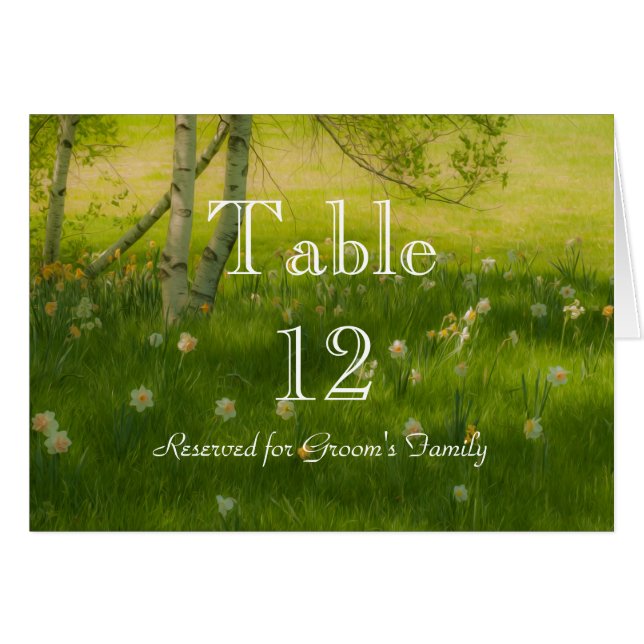 Spring Daffodils (Anverso (Horizontal))