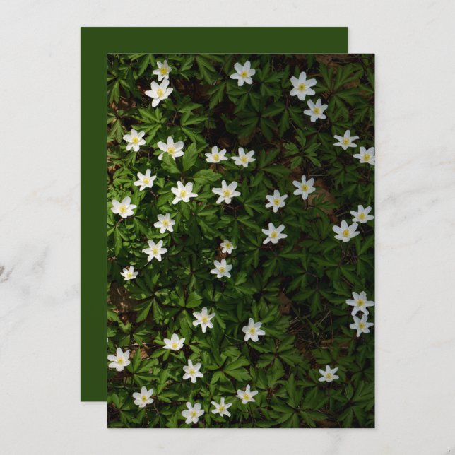 Spring flowers for Earth Day Card (Anverso / Reverso)