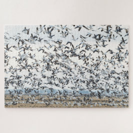 Spring Migration Puzzle